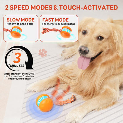 Smart Interactive Dog Ball